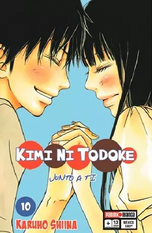 KIMI NI TODOKE N.10