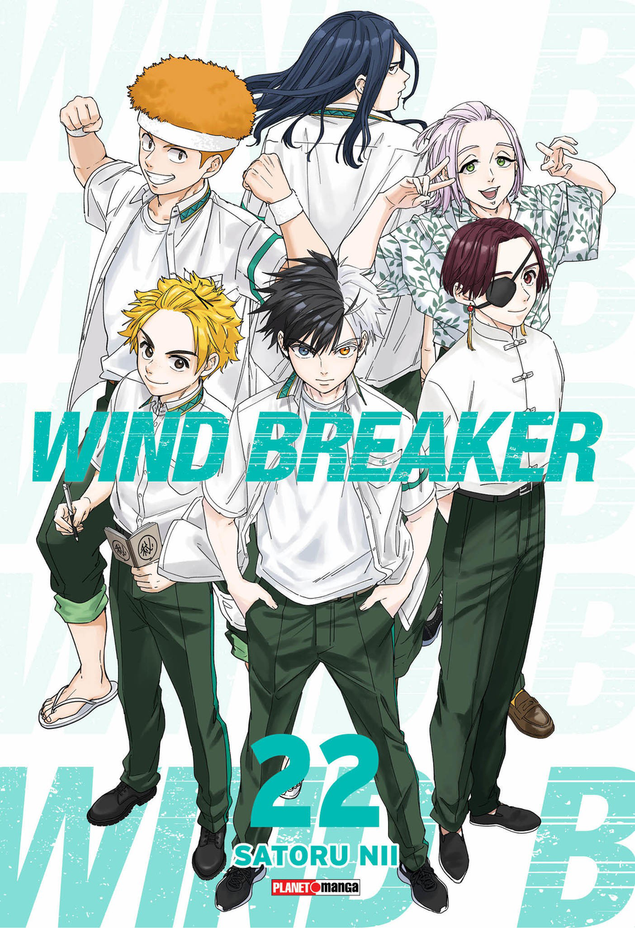 Wind Breaker 22