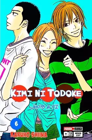 KIMI NI TODOKE N.6