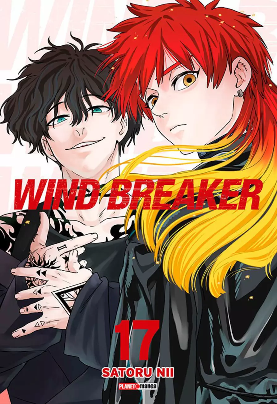Wind Breaker 17