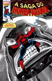 A Saga Do Homem-Aranha 12