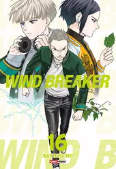 Wind Breaker 16