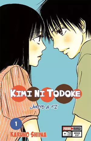 KIMI NI TODOKE N.1