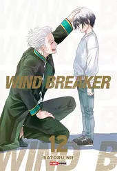 Wind Breaker 12