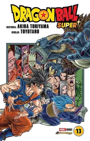 DRAGON BALL SUPER N.13