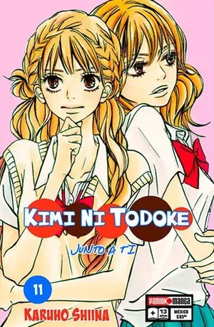 KIMI NI TODOKE N.11
