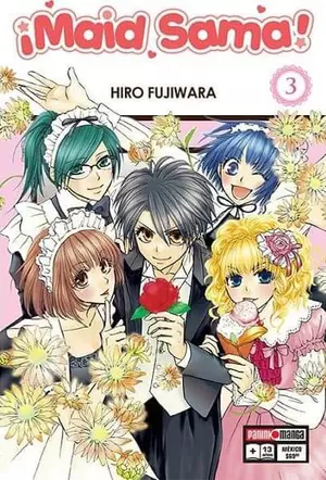 MAID SAMA N.3