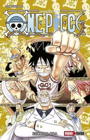 ONE PIECE N.45