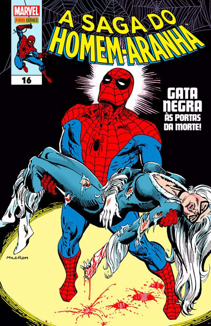 Gata negra e homem aranha