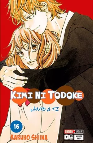 KIMI NI TODOKE N.16