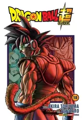 Dragon Ball Super Vol. 18
