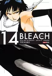 Bleach Remix Vol. 14