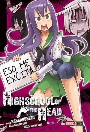 HIGH SCHOOL OF THE HEAD