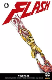 Flash vol. 15
