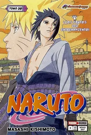 NARUTO N.38