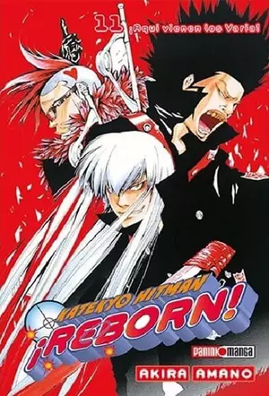 HITMAN REBORN N.11