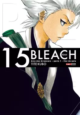 Bleach - volume 15