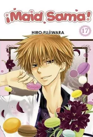 MAID SAMA N.17
