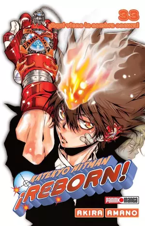 HITMAN REBORN N.33