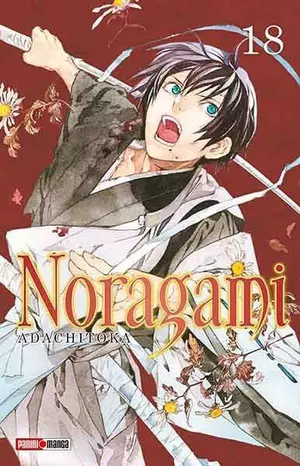 Noragami  #18