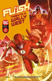 Flash 07