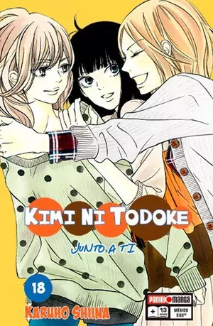 KIMI NI TODOKE N.18