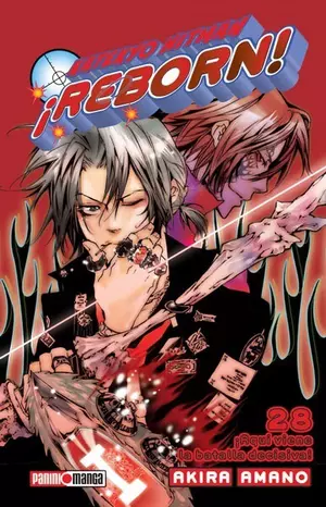HITMAN REBORN N.28