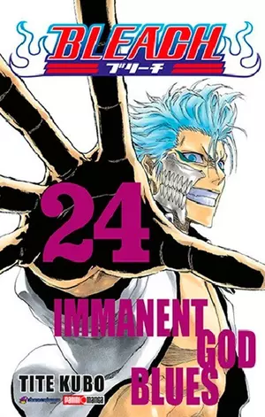 BLEACH N.24