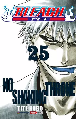 BLEACH N.25