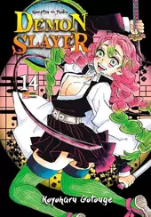 Demon Slayer - Kimetsu No Yaiba Vol. 14