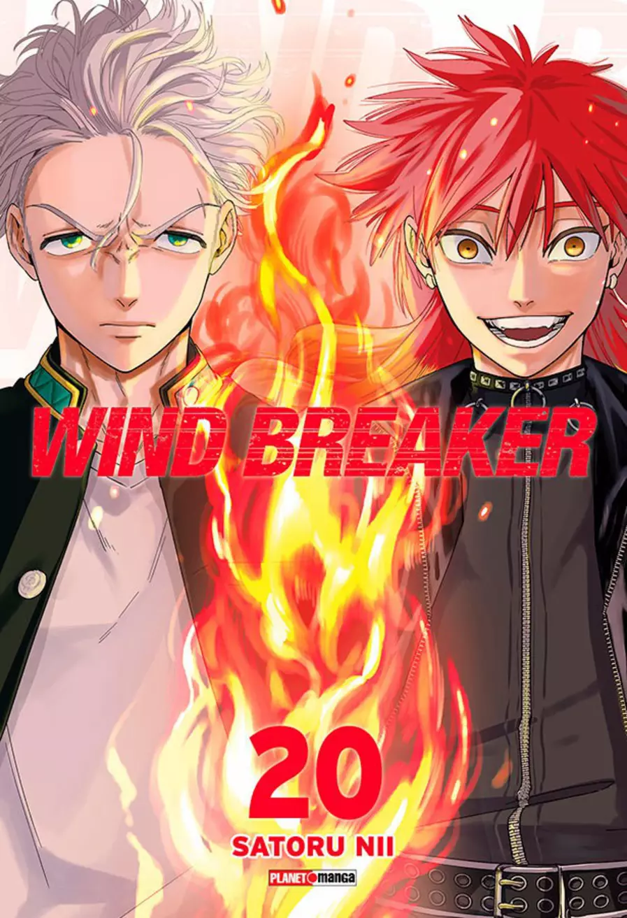 Wind Breaker 20