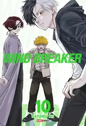 Wind Breaker 10