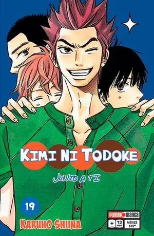 KIMI NI TODOKE N.19