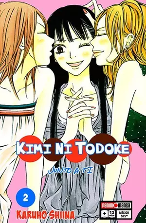 KIMI NI TODOKE N.2