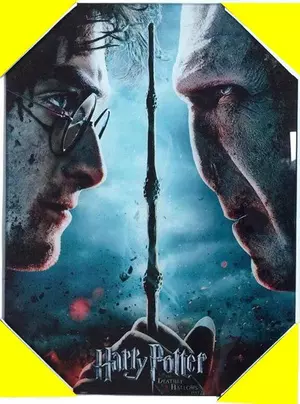 Poster Vidrio Harry Potter Y Voldemort