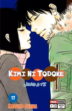 KIMI NI TODOKE N.17