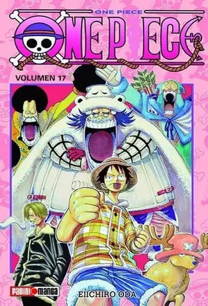 ONE PIECE N.17