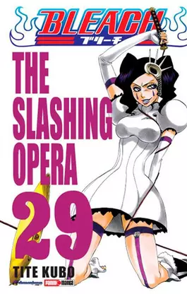 BLEACH N.29
