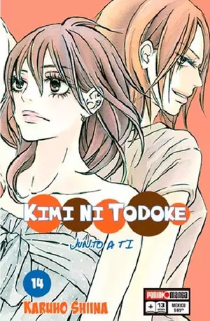 KIMI NI TODOKE N.14