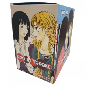 KIMI NI TODOKE BOXSET