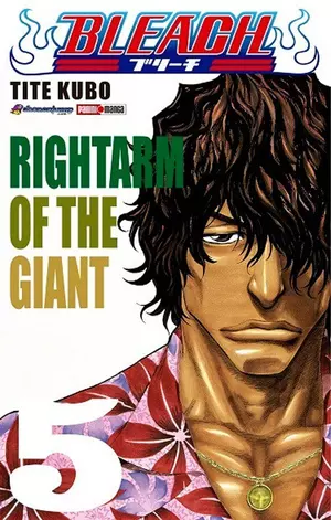 BLEACH N.5