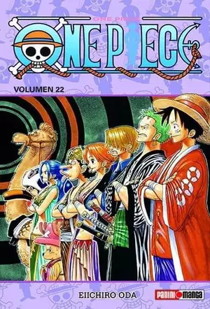 ONE PIECE N.22