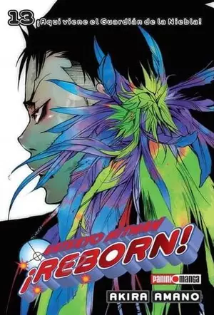 HITMAN REBORN N.13