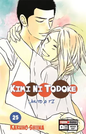 KIMI NI TODOKE N.25