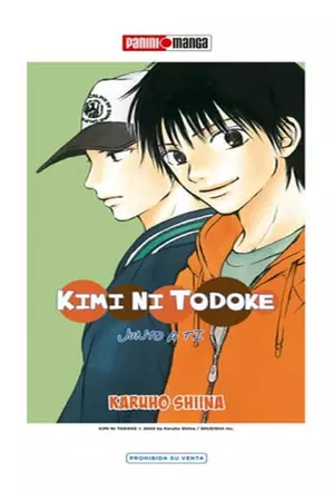KIMI NI TODOKE N.3