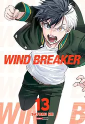 Wind Breaker 13